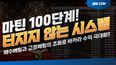 마틴 100단계 시스템